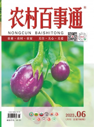 农村百事通杂志 