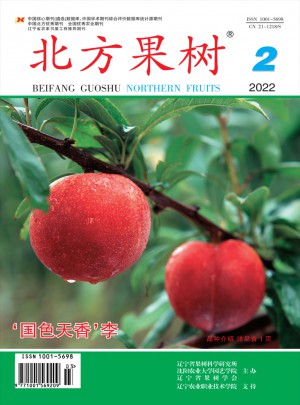 北方果树杂志 