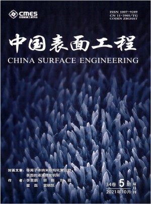 中国表面工程杂志 