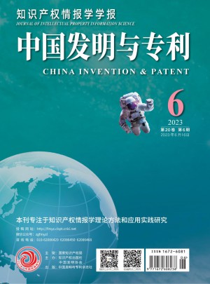 中国发明与专利杂志 