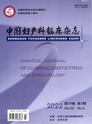 中国妇产科临床杂志 