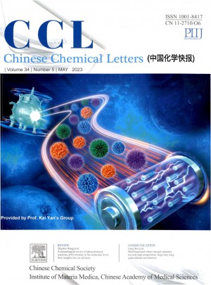 中国化学快报杂志 