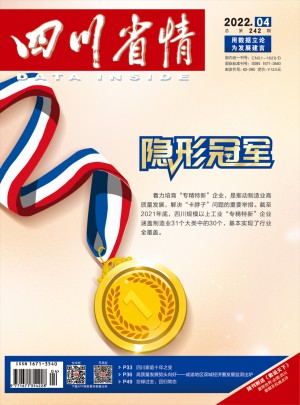 四川省情杂志 
