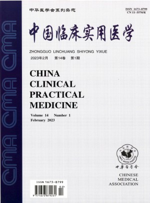 中国临床实用医学杂志 