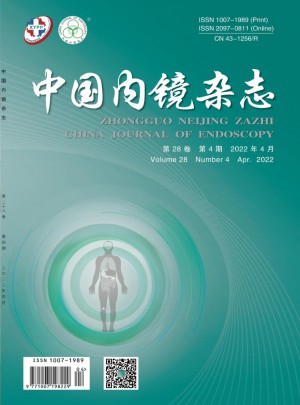 中国内镜杂志 