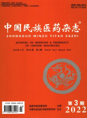 中国民族医药杂志 