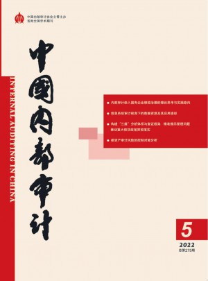中国内部审计杂志 