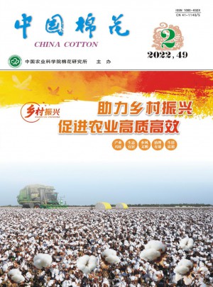 中国棉花杂志 