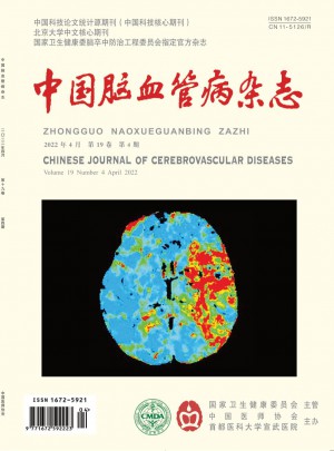 中国脑血管病杂志 