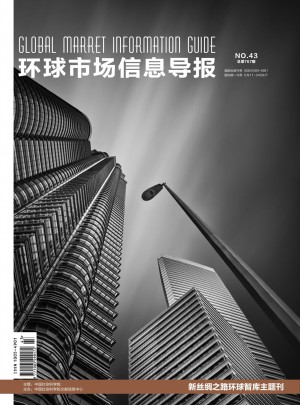 环球市场信息导报杂志 