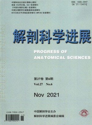 解剖科学进展杂志 