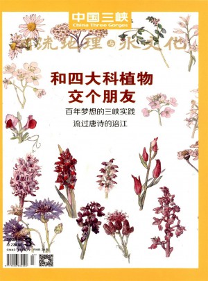中国三峡杂志 