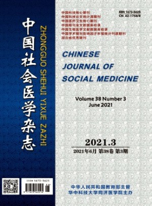 中国社会医学杂志 