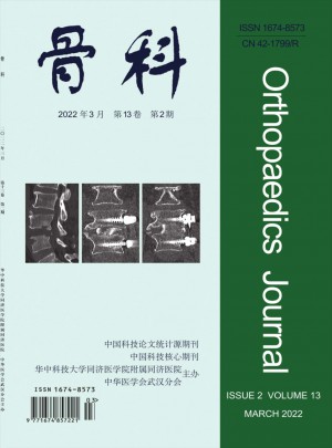 骨科杂志 