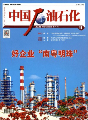 中国石油石化杂志 