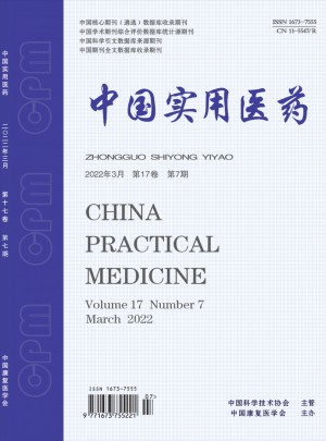 中国实用医药杂志 