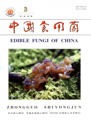 中国食用菌杂志 