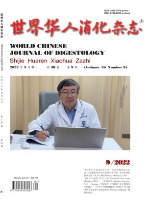 世界华人消化杂志 