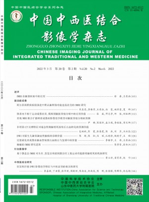 中国中西医结合影像学杂志 