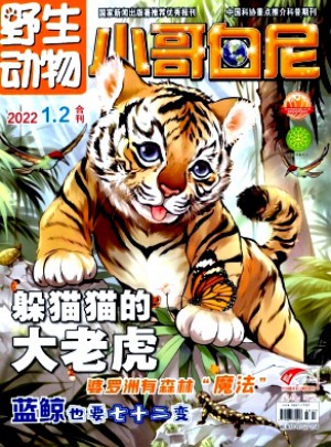 小哥白尼·野生动物画报杂志 