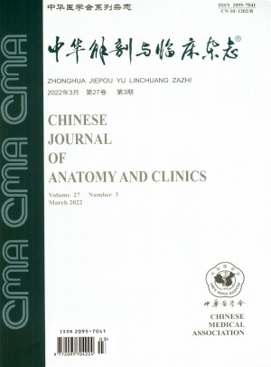 中华解剖与临床杂志 