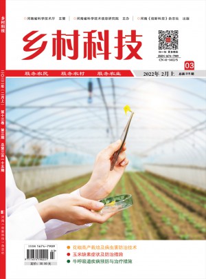 乡村科技杂志 