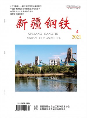 新疆钢铁杂志 