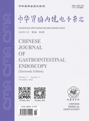 中华胃肠内镜电子杂志 