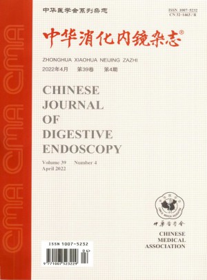 中华消化内镜杂志 