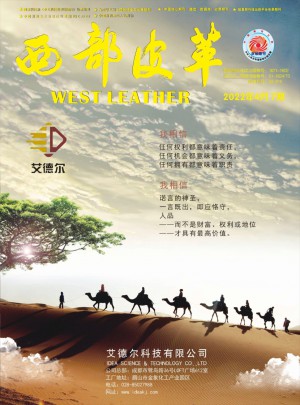  西部皮革杂志