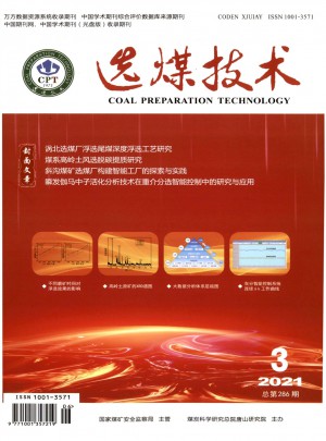 选煤技术杂志 