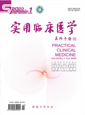 实用临床医学杂志 