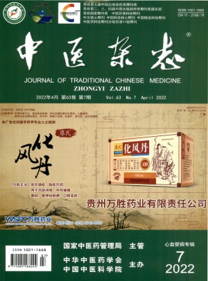 中医杂志 
