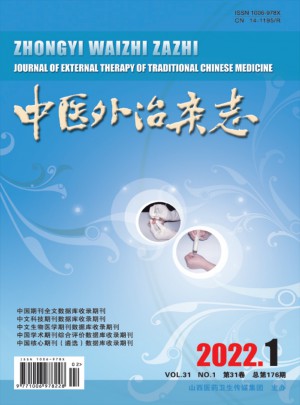 中医外治杂志 