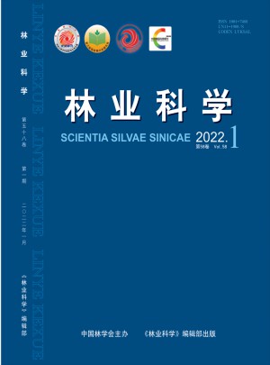 林业科学杂志 