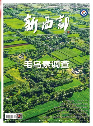 新西部杂志 
