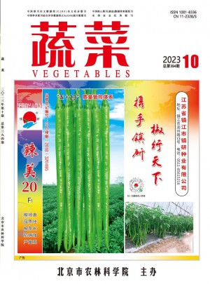 蔬菜杂志 