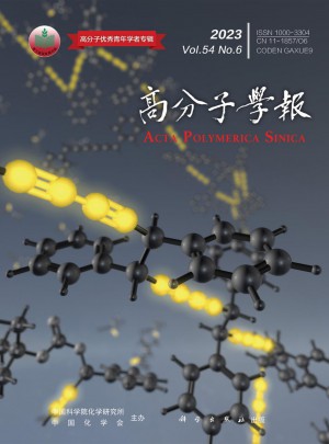 高分子学报杂志 